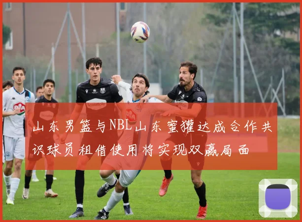 山东男篮与NBL山东蜜獾达成合作共识球员租借使用将实现双赢局面